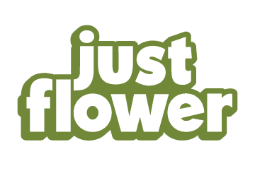 Just Flower